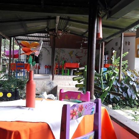 Sierra Sounds House Bed and Breakfast Minca Esterno foto