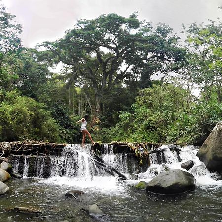 Sierra Sounds House Bed and Breakfast Minca Esterno foto